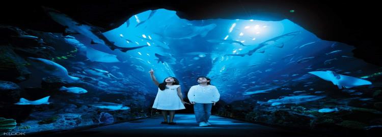 /Files/hodhodfars.ir/GardeshSlide/4_11_small_DubaiAquariumandUnderwaterZooBasicEntryTicketinDubai.jpg