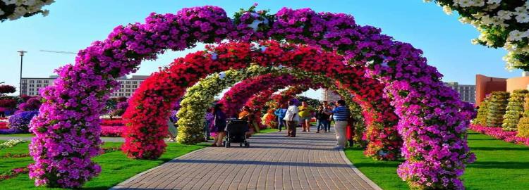 /Files/hodhodfars.ir/GardeshSlide/4_9_small_Dubai-Miracle-Garden-e1574659177197.jpg